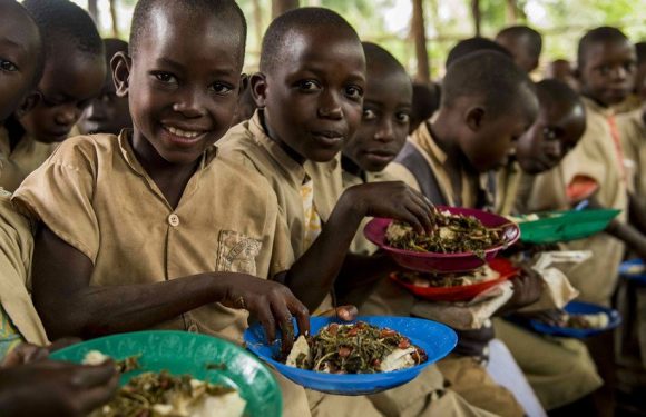 Investing in Health, Nutrition Is Vital For Learners to Thrive