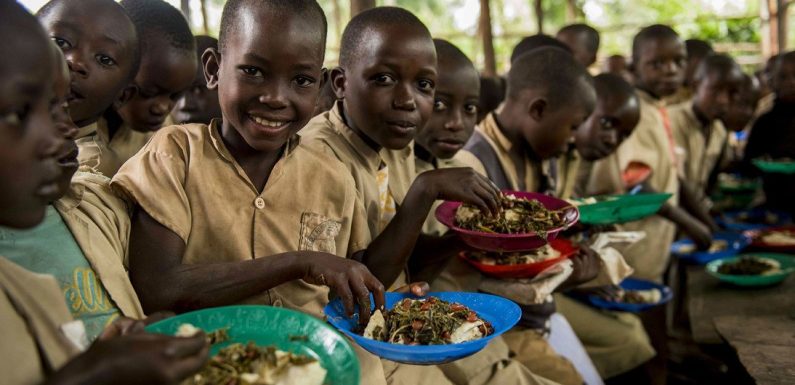 Investing in Health, Nutrition Is Vital For Learners to Thrive