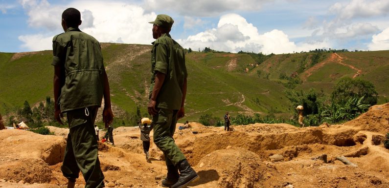 Mining, Armed Conflict Threaten Eastern DR Congo’s Biodiversity