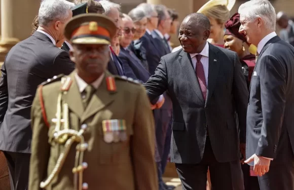 Belgium calls on South Africa to help end war in Ukraine