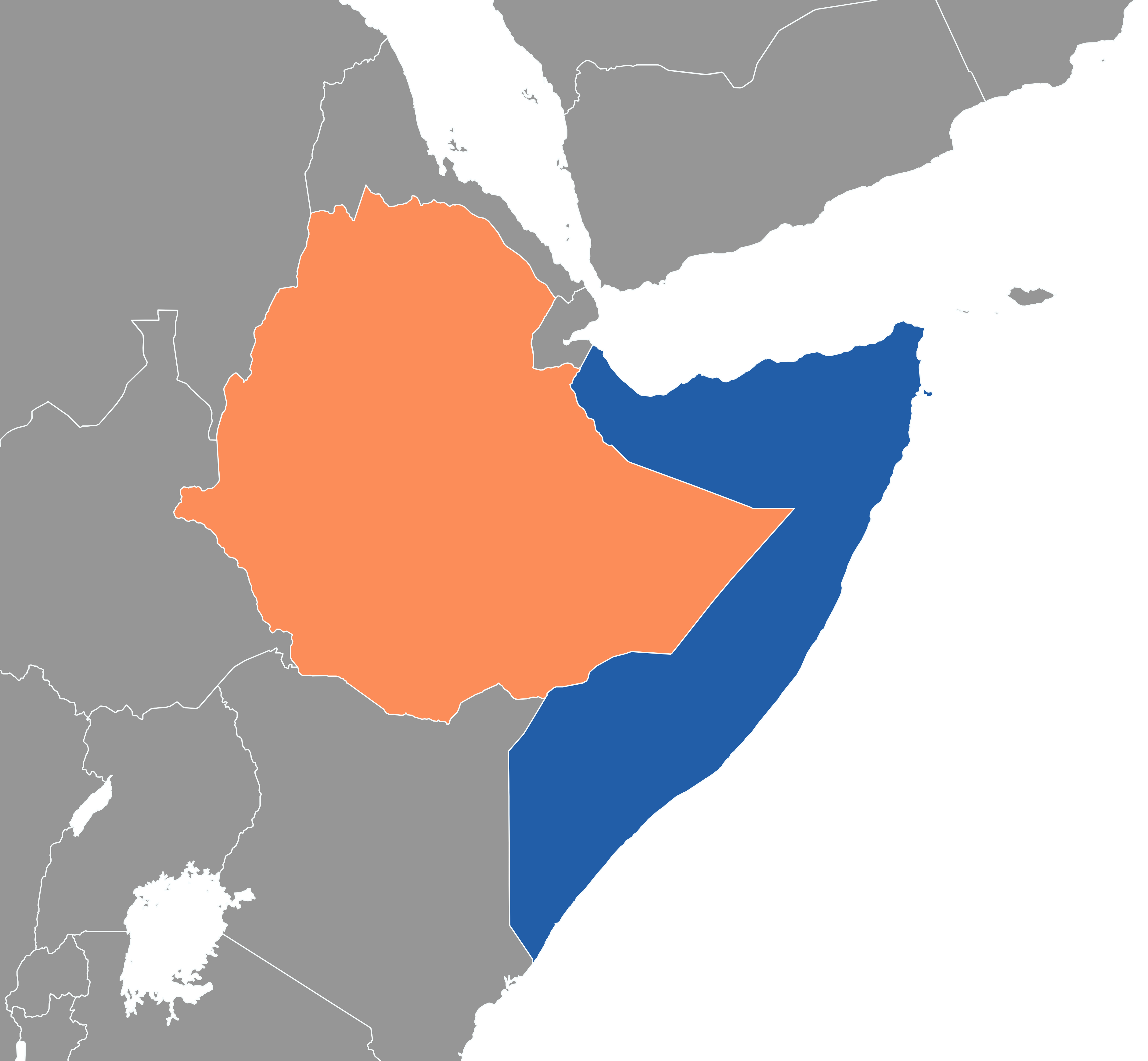 Are multiple domestic troubles driving Ethiopia to provoke Somalia?