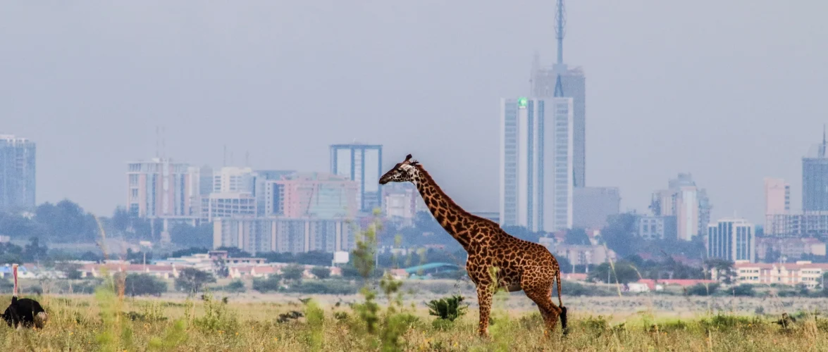 Wikimania 2025: Celebrating 20 Years of Collaborative Knowledge in the Heart of Africa