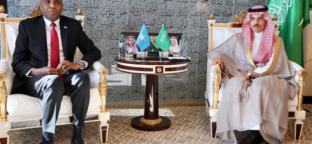 Somalia-Saudi Relations Take on a New Face