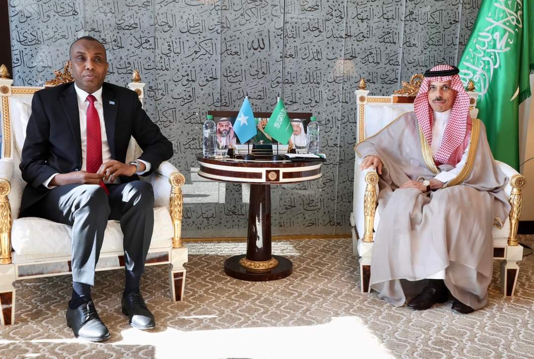 Somalia-Saudi Relations Take on a New Face