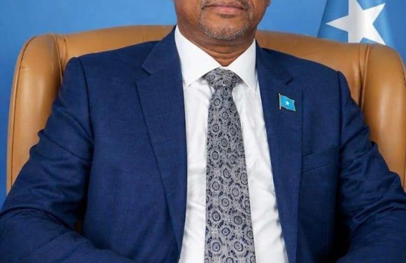 Somalia: May You Consider Me?