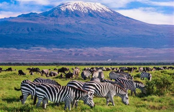 Kenya tourism sector at crossroads over political overtones and travel advisory