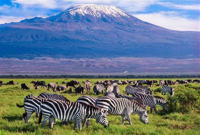 Kenya tourism sector at crossroads over political overtones and travel advisory