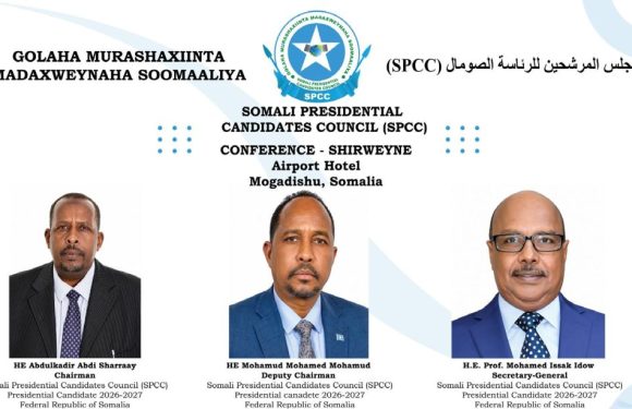 Somalia: A new coalition for the 2027 presidential elections
